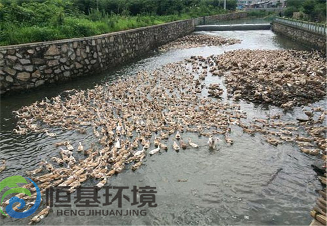 養(yǎng)鴨場(chǎng)污水處理