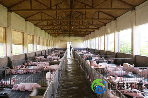 養(yǎng)雞場污水處理
